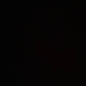 Meet your Posher, Samuel